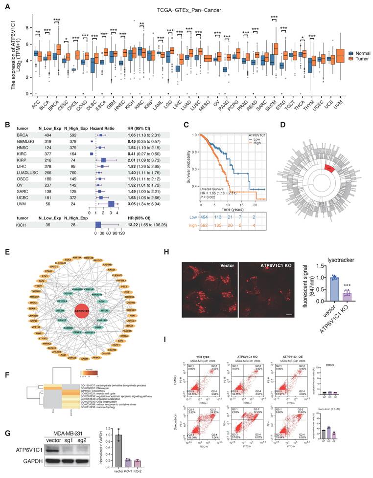 Int J Biol Sci Image