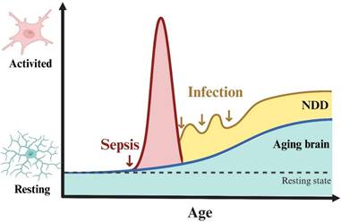 Int J Biol Sci Image