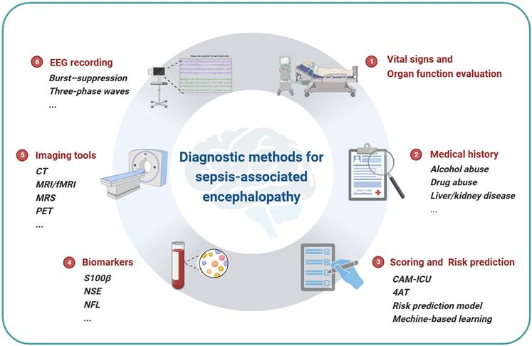 Int J Biol Sci Image