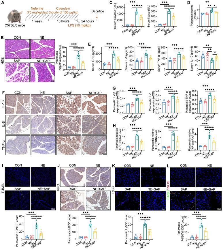 Int J Biol Sci Image