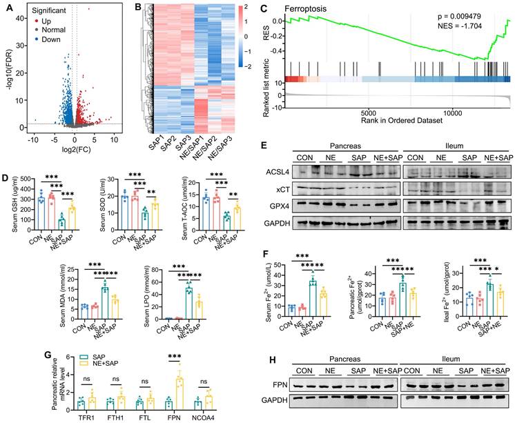 Int J Biol Sci Image