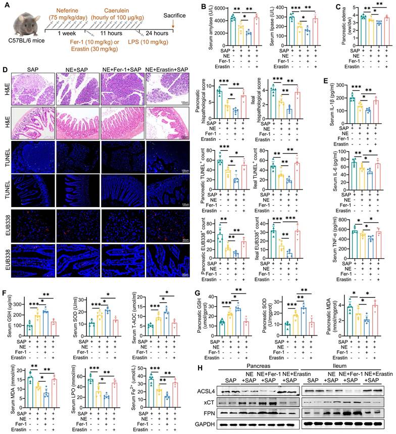 Int J Biol Sci Image