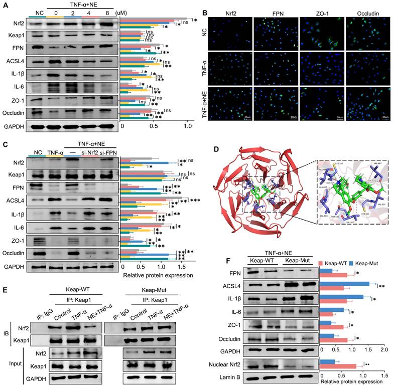 Int J Biol Sci Image