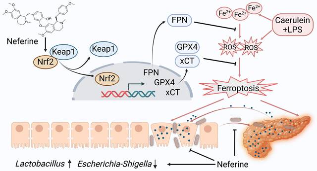 Int J Biol Sci Image