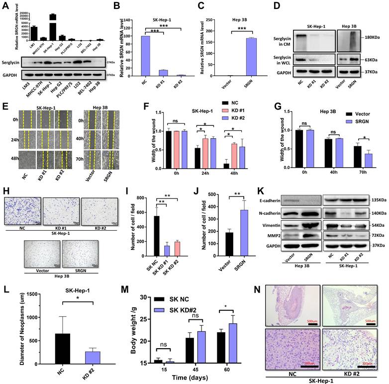 Int J Biol Sci Image