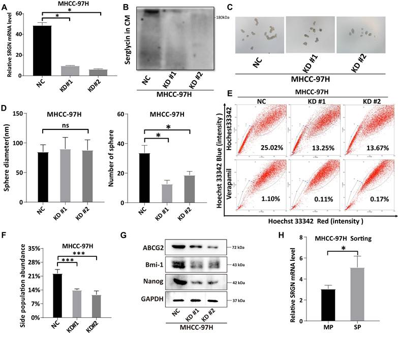 Int J Biol Sci Image