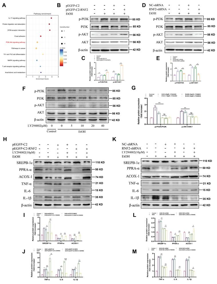 Int J Biol Sci Image