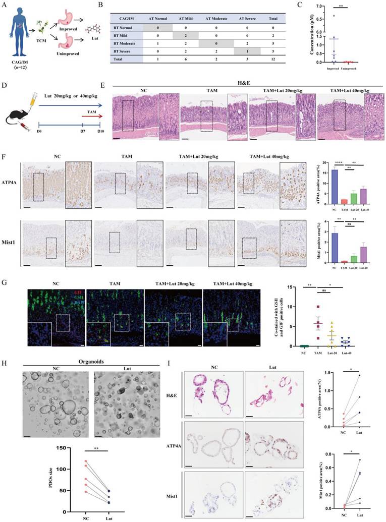 Int J Biol Sci Image
