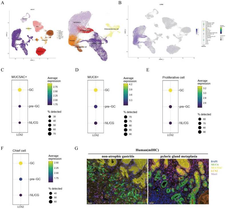 Int J Biol Sci Image
