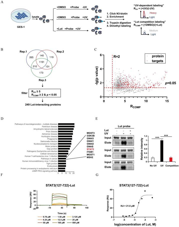 Int J Biol Sci Image