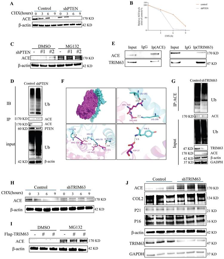 Int J Biol Sci Image