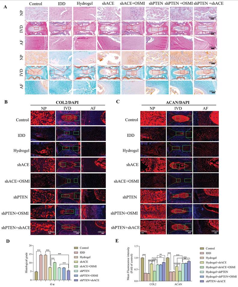 Int J Biol Sci Image