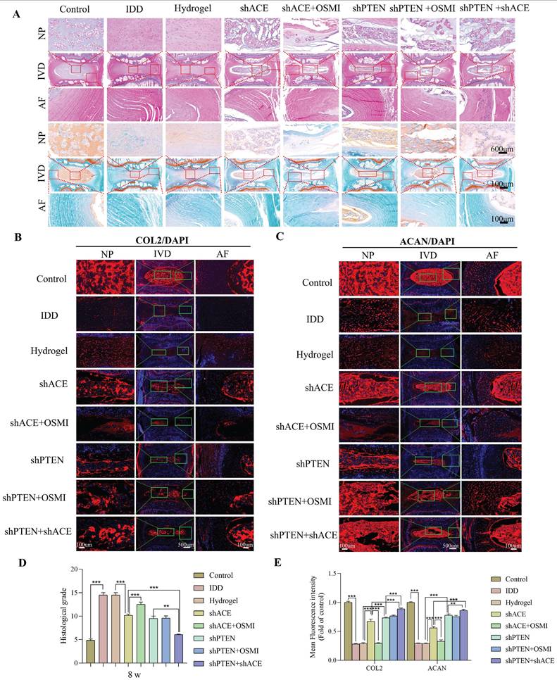 Int J Biol Sci Image