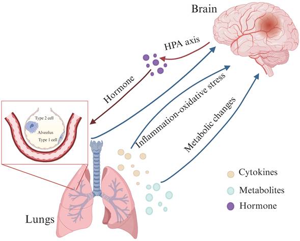 Int J Biol Sci Image