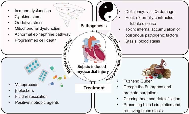 Int J Biol Sci Image