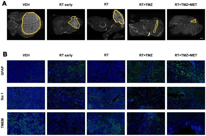 Int J Biol Sci Image