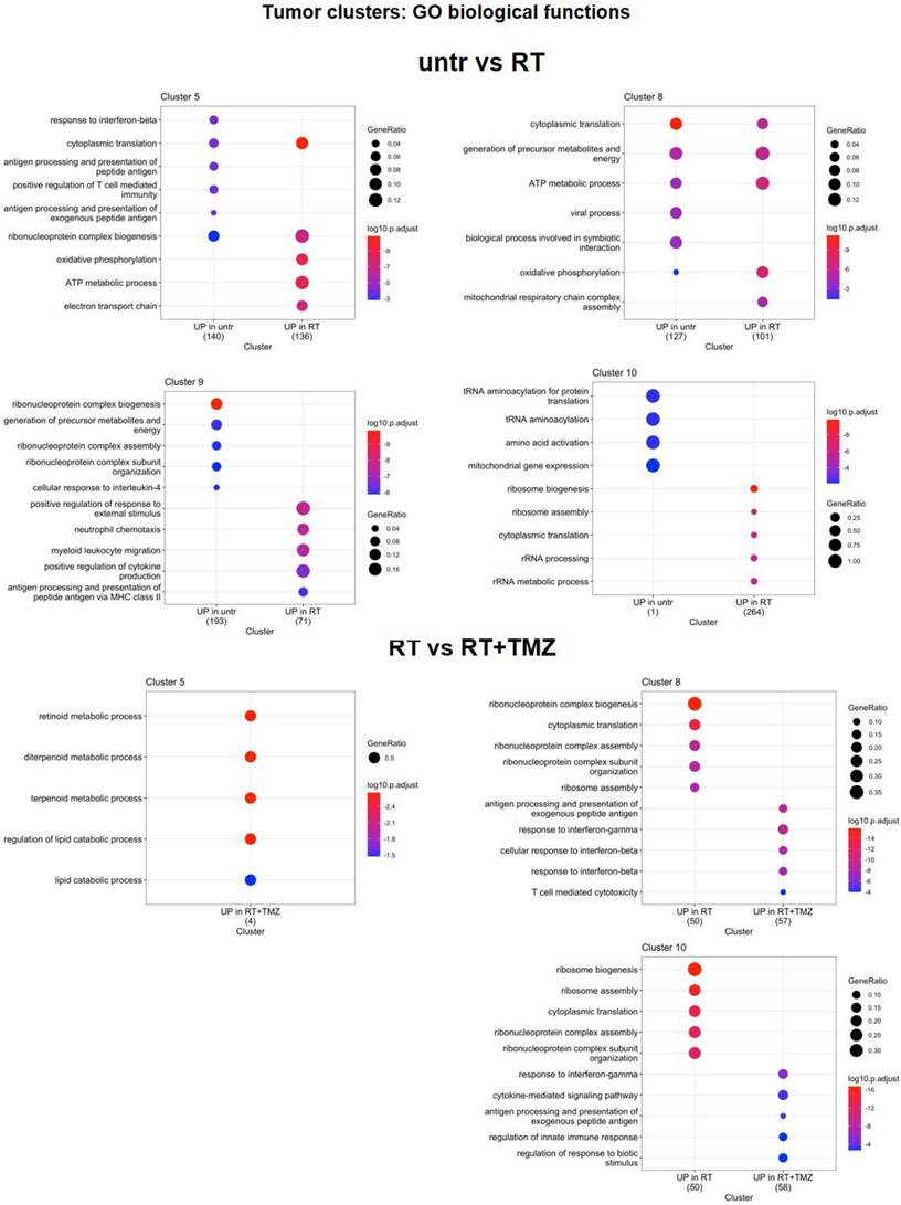 Int J Biol Sci Image