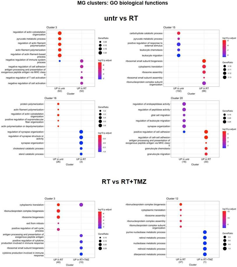 Int J Biol Sci Image