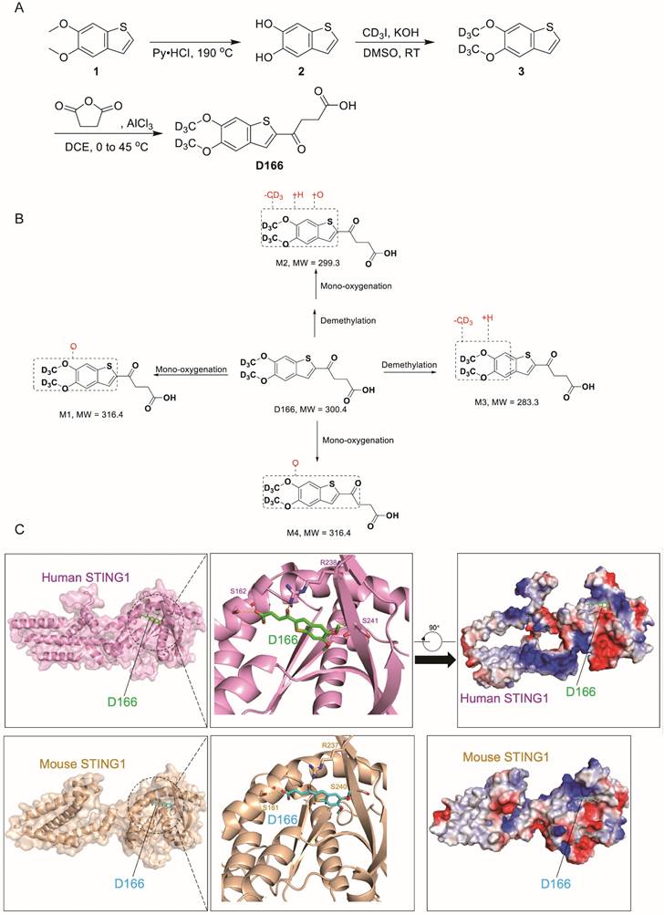 Int J Biol Sci Image
