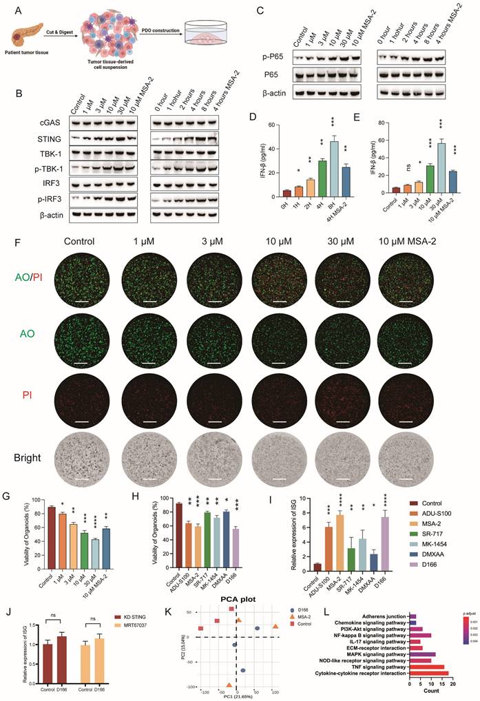 Int J Biol Sci Image