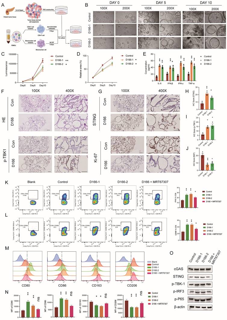 Int J Biol Sci Image