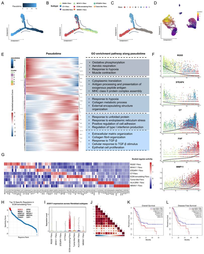 Int J Biol Sci Image