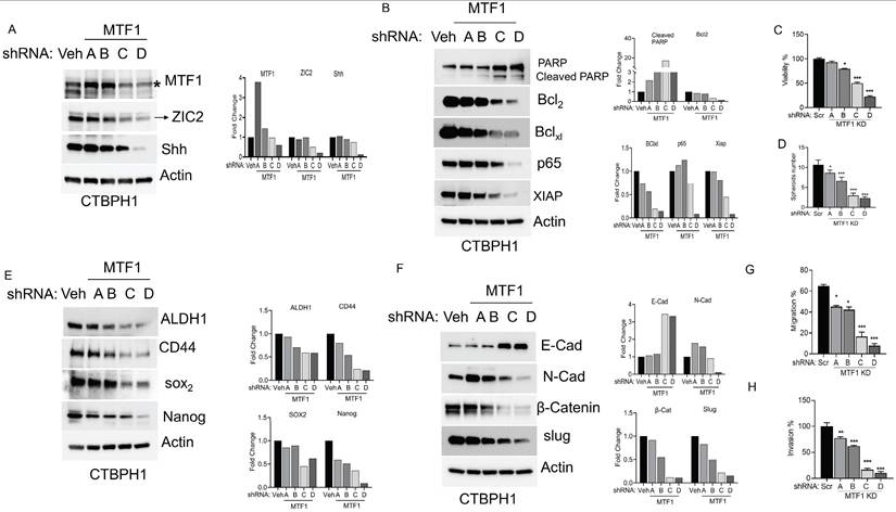 Int J Biol Sci Image