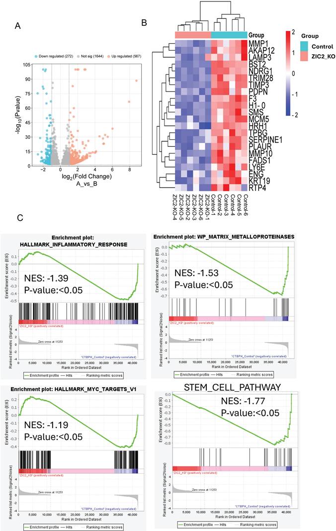 Int J Biol Sci Image