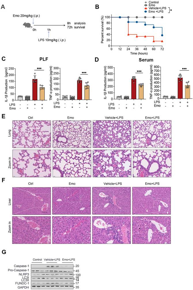 Int J Biol Sci Image