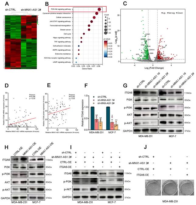 Int J Biol Sci Image