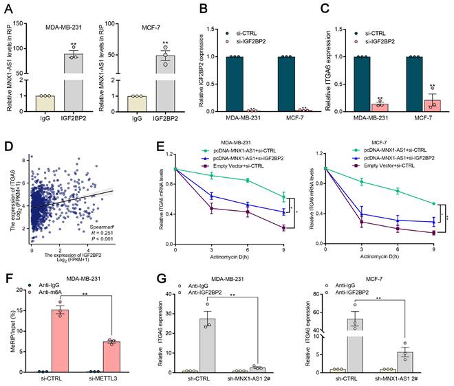 Int J Biol Sci Image
