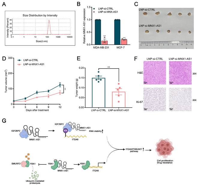 Int J Biol Sci Image
