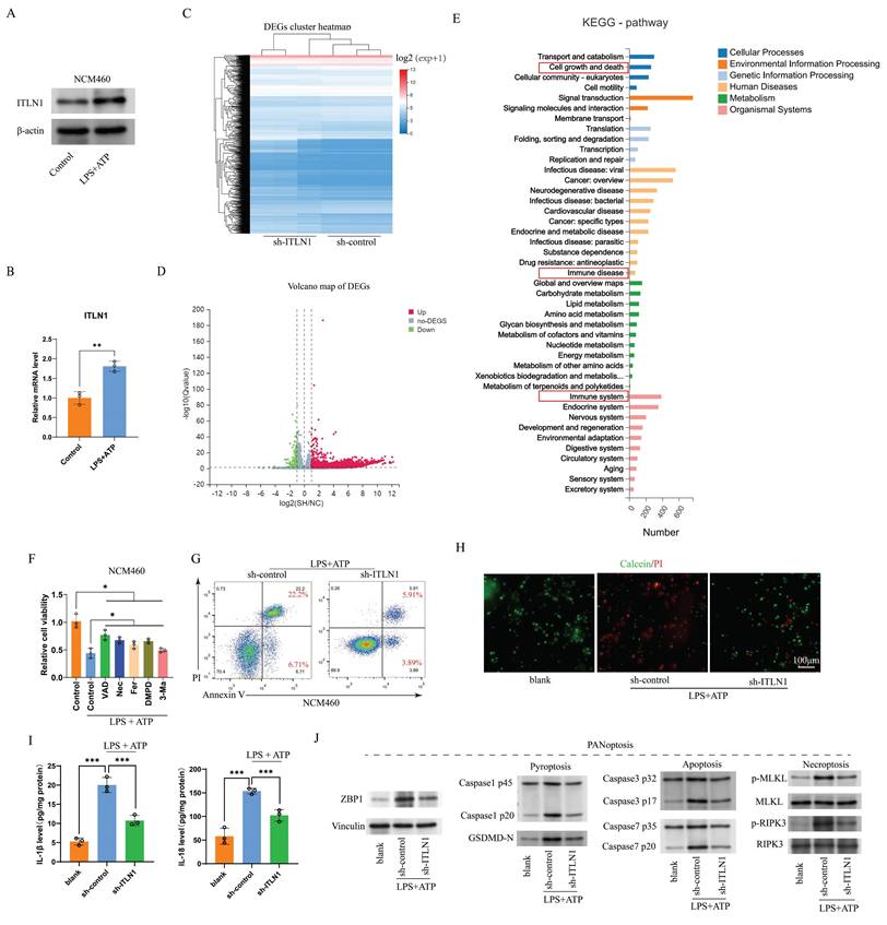 Int J Biol Sci Image