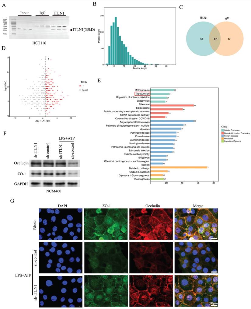Int J Biol Sci Image