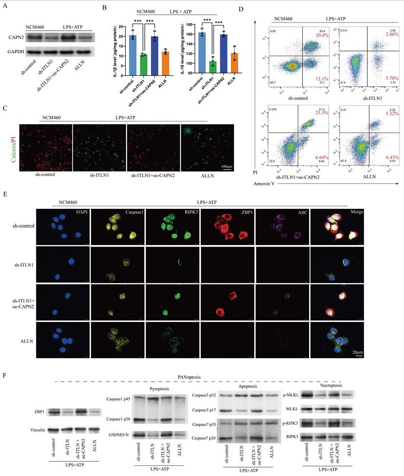 Int J Biol Sci Image