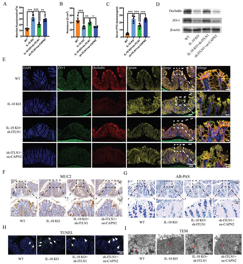 Int J Biol Sci Image