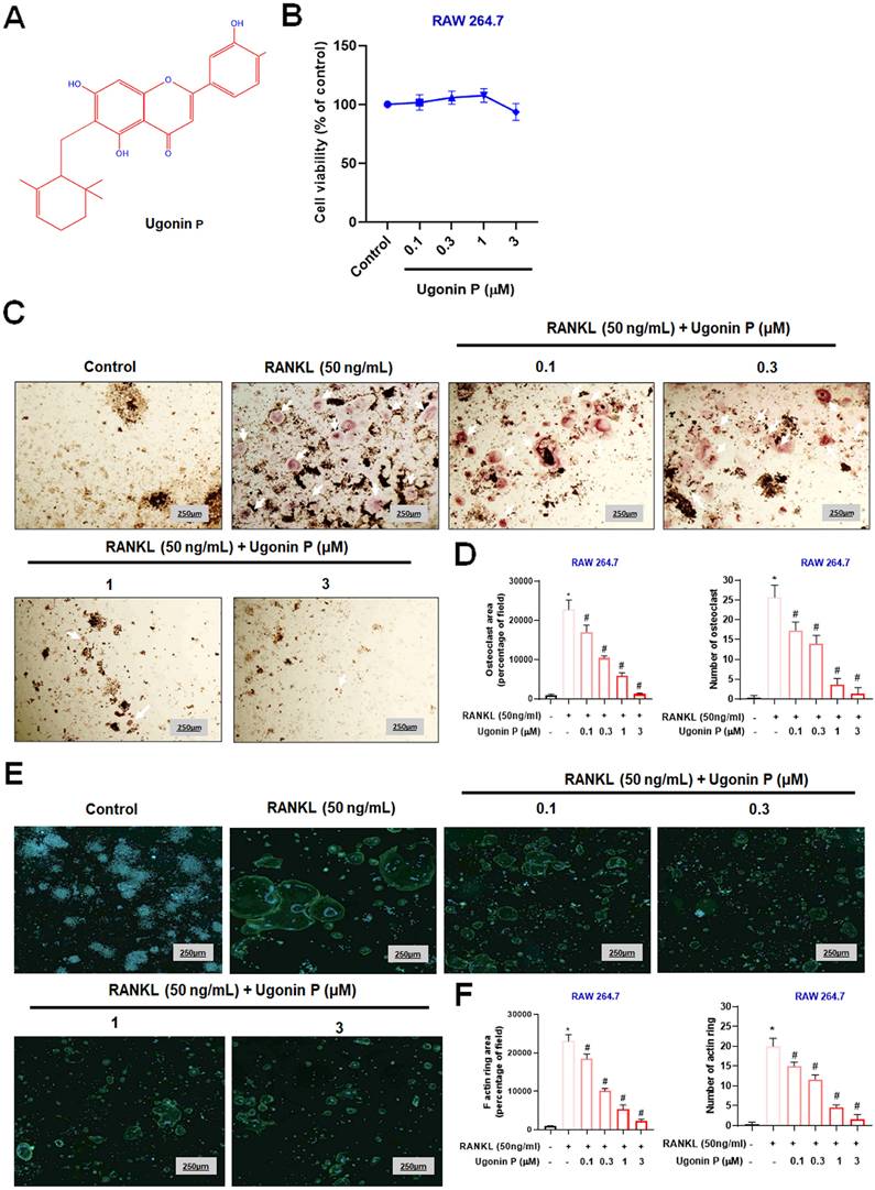 Int J Biol Sci Image