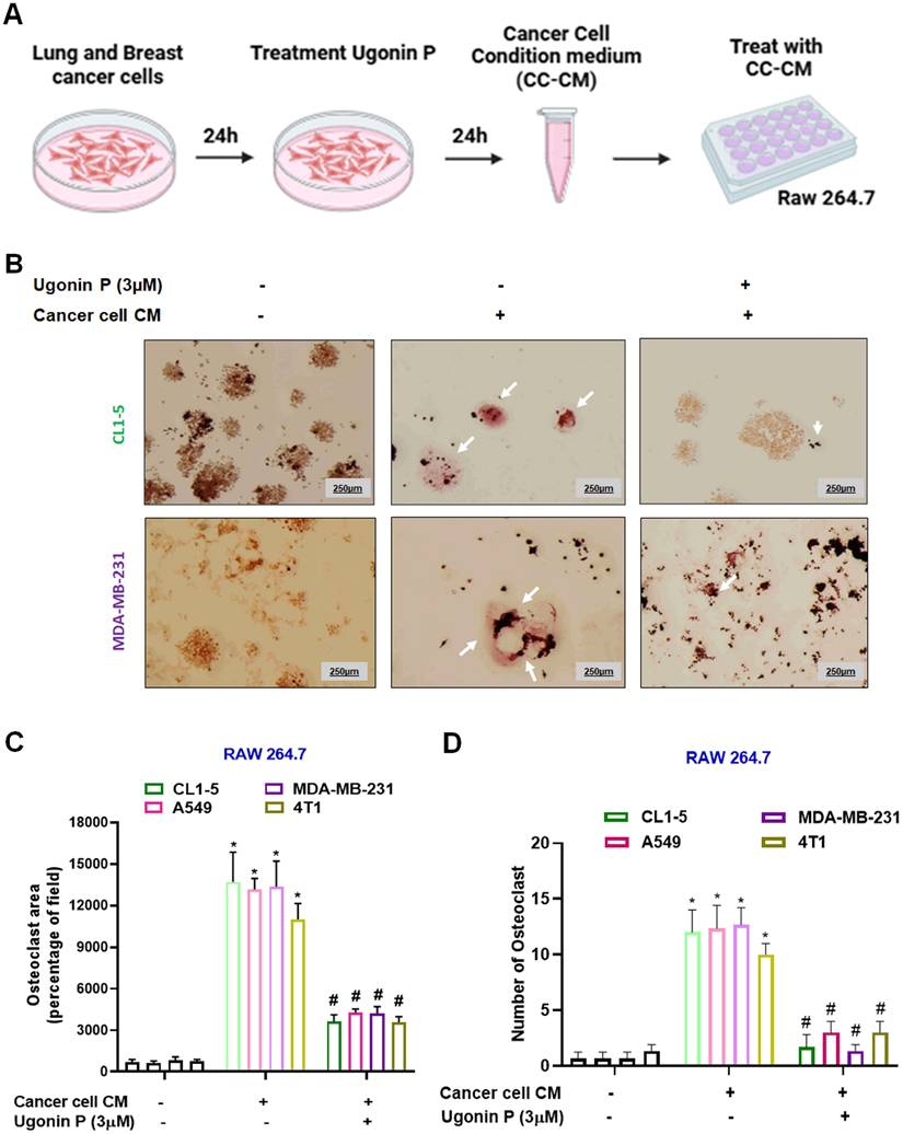 Int J Biol Sci Image