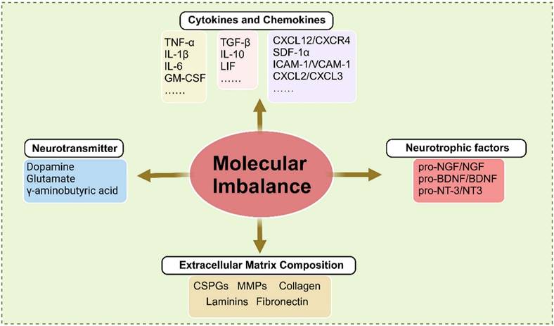 Int J Biol Sci Image