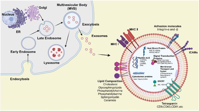 Int J Biol Sci Image