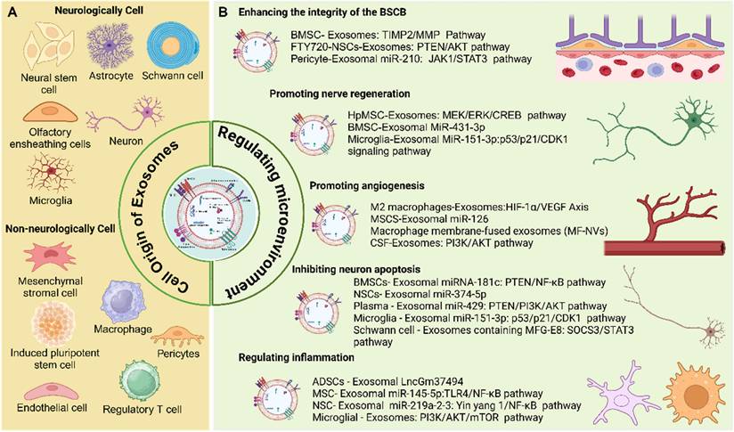 Int J Biol Sci Image