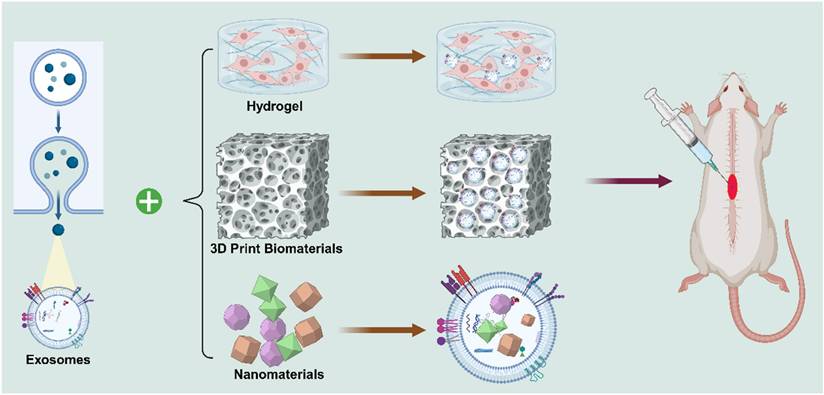 Int J Biol Sci Image