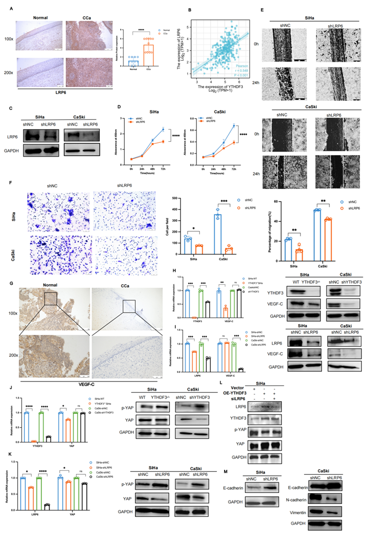 Int J Biol Sci Image