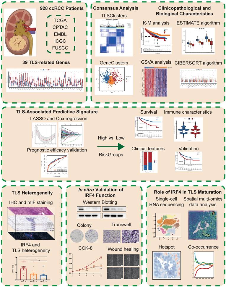 Int J Biol Sci Image