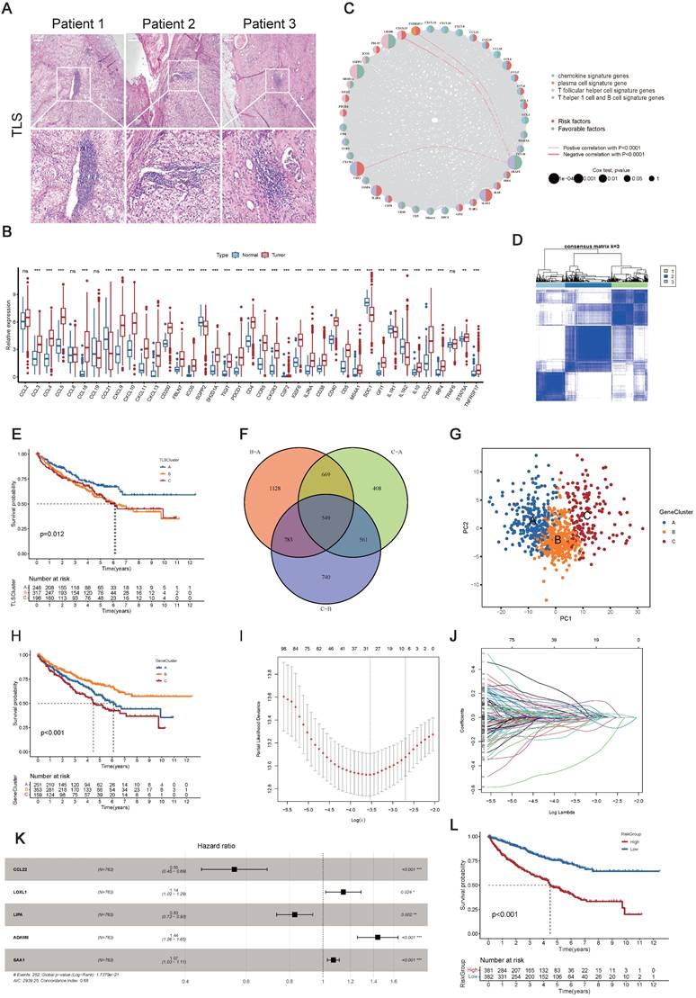 Int J Biol Sci Image