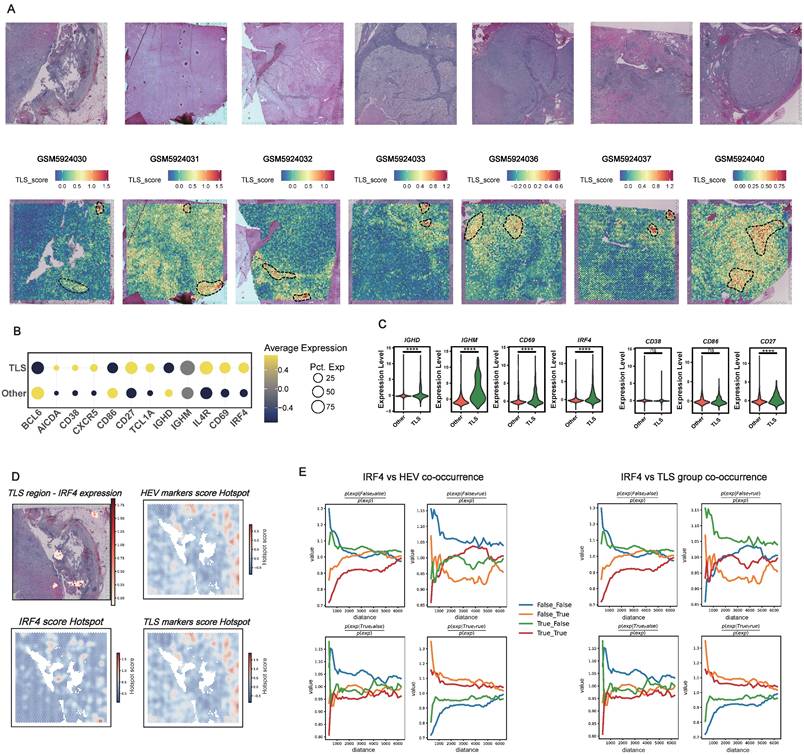 Int J Biol Sci Image