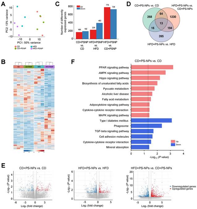 Int J Biol Sci Image