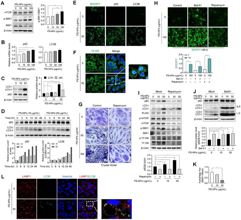 Int J Biol Sci Image