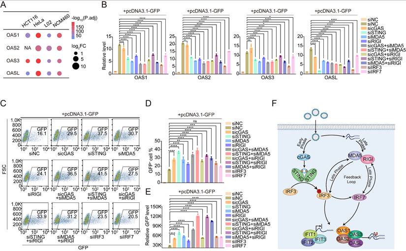 Int J Biol Sci Image