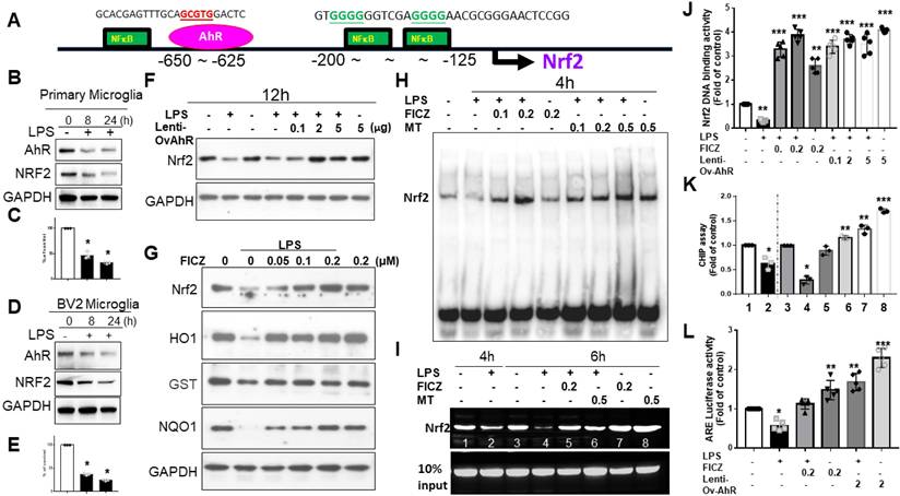 Int J Biol Sci Image